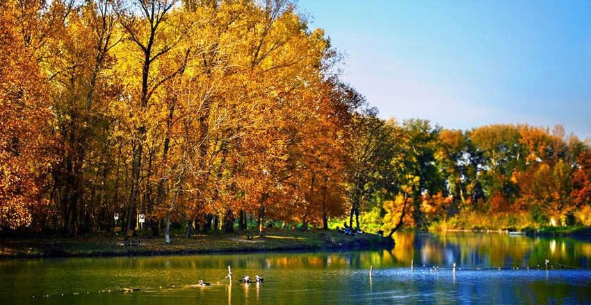 Ada Ciganlija | Flora i fauna
